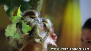 Két forró dög punci nyalás a szabadban nedves orgazmusokig